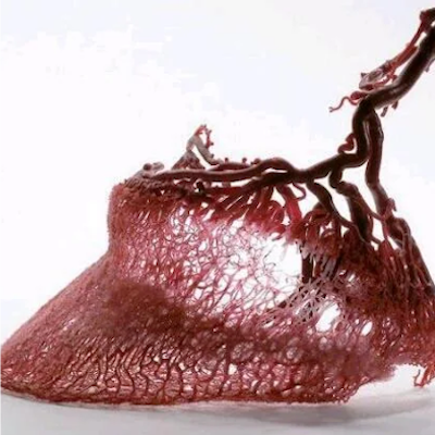 AMAZlNGNATURE's tweet photo. This is what the inside of a horse's hoof looks like

The hoof contains a network of blood vessels that helps keep the tissue alive and strong enough to support the animal https://t.co/ZYpUukMNGz