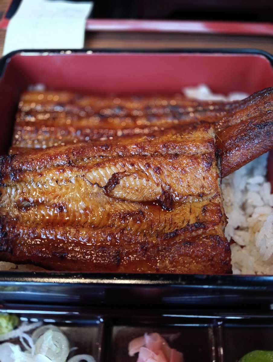 dedenee's tweet photo. 近所にチェーン店の鰻屋さんが出来たので夫とランチに行ってきた
鰻の成瀬 東大阪店
一番高い特上山田の鰻松サイズをご飯少なめで
4400円
安いし鰻もまぁまぁ美味しかったし追いだれがあるのもよかったけど鰻が少なかったなぁ
次に行く時は上の松にしてみよっと

#鰻
#東大阪ランチ
#higao https://t.co/uGVwScYFUY
