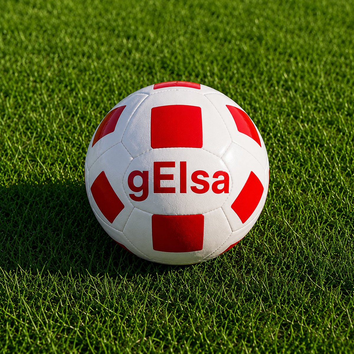 HeyElsa tweet media