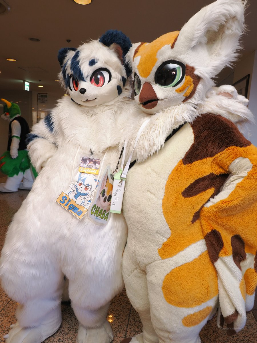 zeruel0118's tweet photo. いろいろな仔のツーショット
#JMoF
#JMoF2026 https://t.co/mRyAHIUkTK