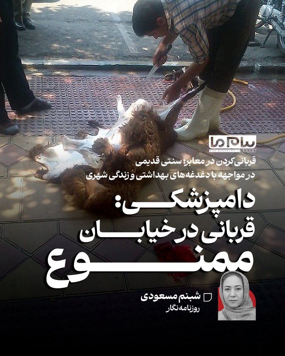 payamema's tweet photo. 🔷قربانی‌کردن در معابر؛ سنتی قدیمی در مواجهه با دغدغه‌های بهداشتی و زندگی شهری
🔶دامپزشکی: قربانی در خیابان، ممنوع

✍️شبنم مسعودی https://t.co/4j5wI03AMh