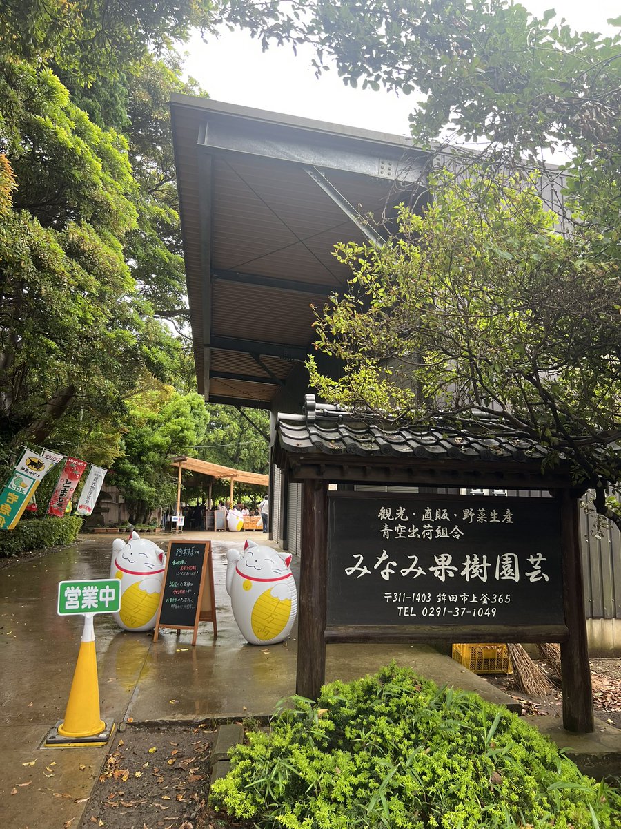 tata@ZX10R-Shitamichi Rider (@tatapon2) / Posts / X