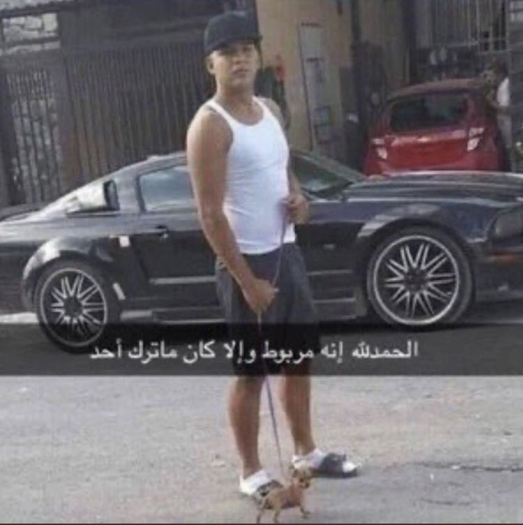 Adamwapo2's tweet photo. #FROM 
فيكتور https://t.co/8yu2hiq7A1
