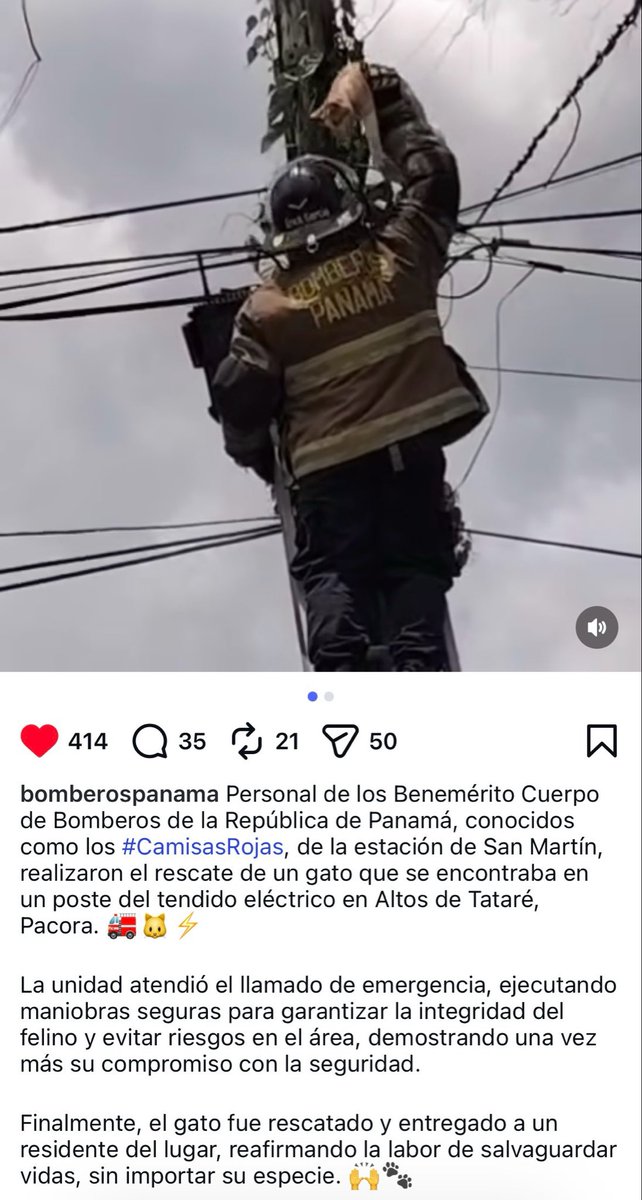 LP19732's tweet photo. Los bueno también se hace viral! ❤️❤️🙏🏼🙏🏼 🫡 Los Bomberos de Panamá 🇵🇦 rescatan a 🐈❤️🙏🏼 https://t.co/aii3vSbpno