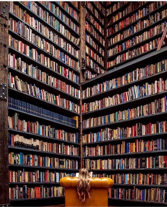 EntradaBooks's tweet photo. Now this is my kind of bookstore...or maybe my house.
#amwriting #writerslife #AskAgent #AskAuthor #AskEditor #BookMarketing https://t.co/TfIl8ooO4X