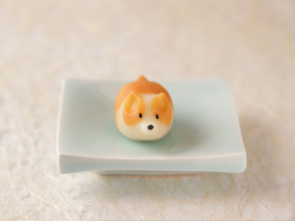 beniyamiyake's tweet photo. コーギーを練り切りで作ってみました🐶おしりがチャームポイントです。 https://t.co/AxFBxSGjmf