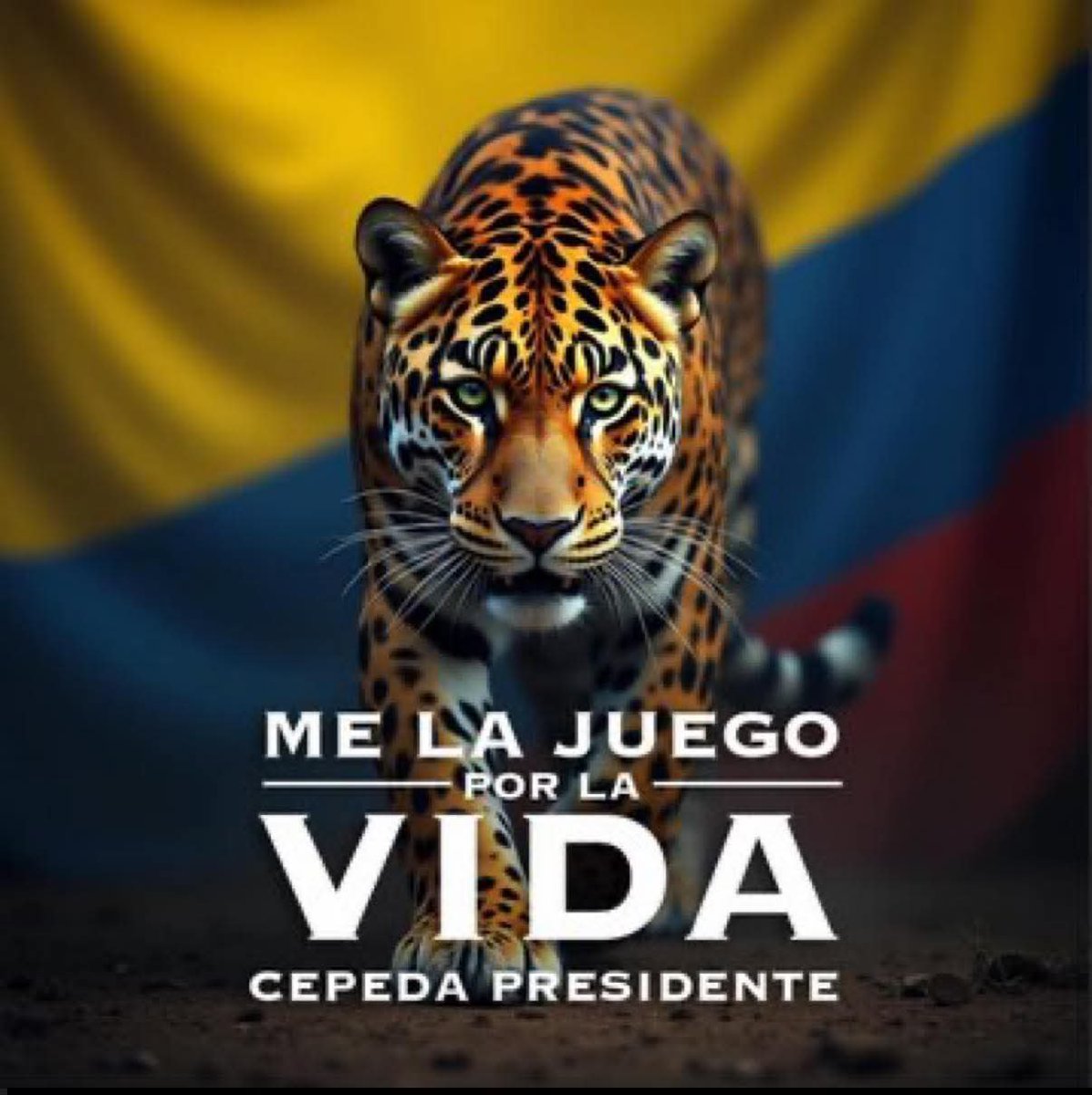 Ragmor_Apater's tweet photo. @EstamosConIvan https://t.co/mDWwd6MTgJ
