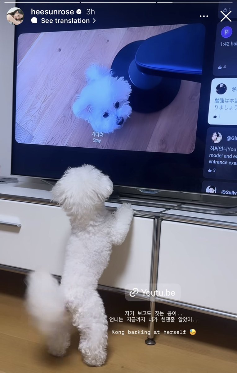 quietcircleee's tweet photo. is it intentional? probably not. am I still taking it? absolutely 🤭 https://t.co/1dNDsgdQgy