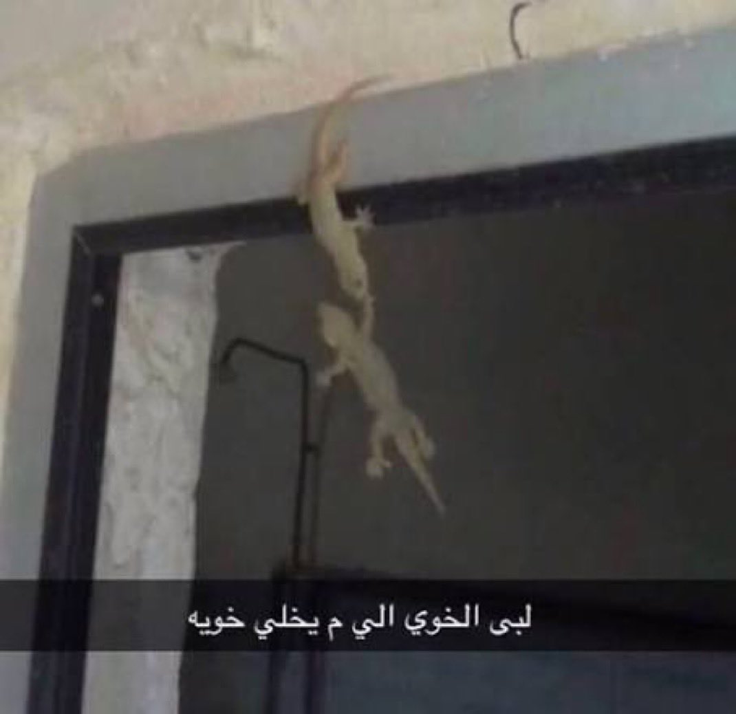 razan_f111's tweet photo. #السعوديه_اسبانيا https://t.co/t5mVEqpGMI