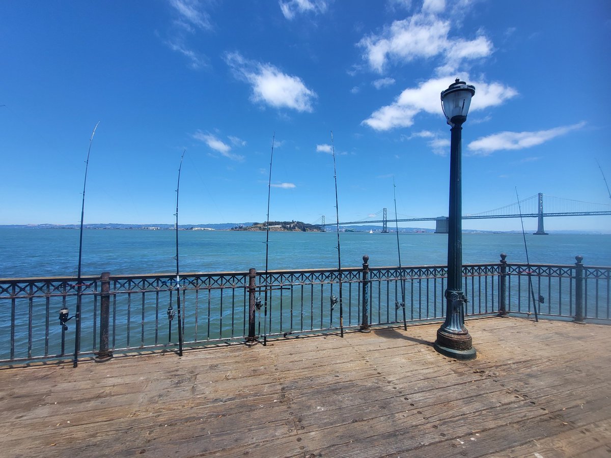 David84_king22's tweet photo. San Fransisco. Get some fresh air, take care of your mind spirit and body. https://t.co/CRPTnCERta