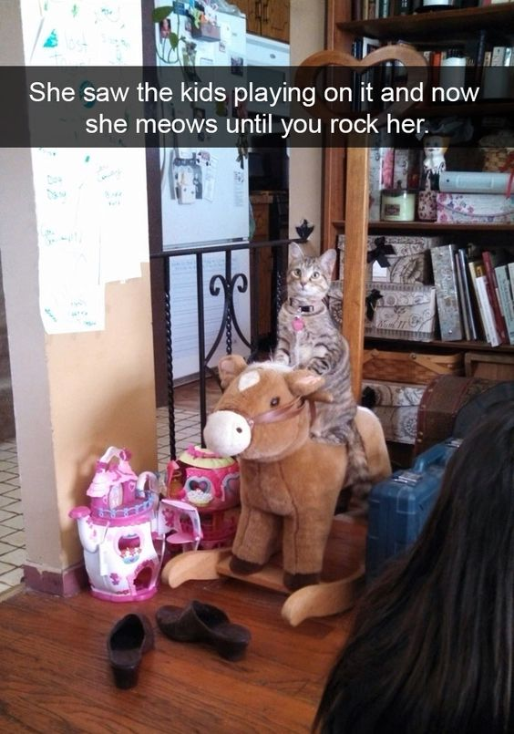 WholesomeMeme's tweet photo. https://t.co/MZev2entCG