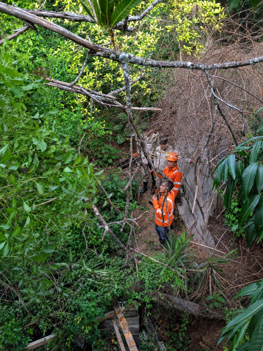 amdc_previene's tweet photo. Se atendió de manera coordinada la caída de un árbol sobre una vivienda en la colonia San Ángel, con la intervención de equipos de SIMGER-CODEM, COPECO y el Benemérito Cuerpo de Bomberos, logrando liberar la zona.

Ahora el área se encuentra despejada, brindando mayor seguridad. https://t.co/ZhQ3Owx5rP