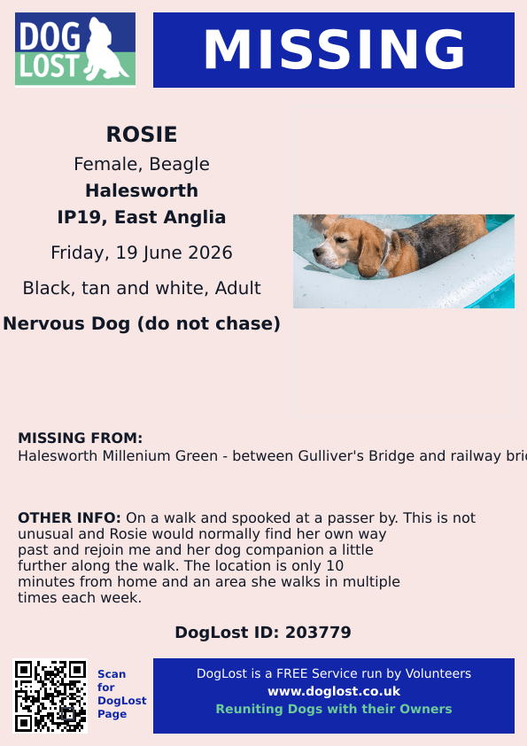 millypod1's tweet photo. 🆘19 JUNE 2026 #Lost Rosie #ScanMe
Beagle Female
#Halesworth Millenium Green
between Gulliver's Bridge and Railway Bridge
#Suffolk #IP19
https://t.co/NRz9ztOaVS https://t.co/BnCttGFINJ
