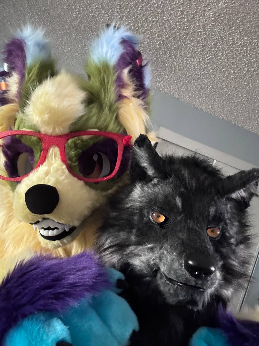 DeltaArcanine's tweet photo. I went to the park with @RazziWolfDragon to fursuit in public for once and it was a fun time. Today I'm going to a botanical garden to fursuit with my friend as well :3 https://t.co/qCHfIyIu4l
