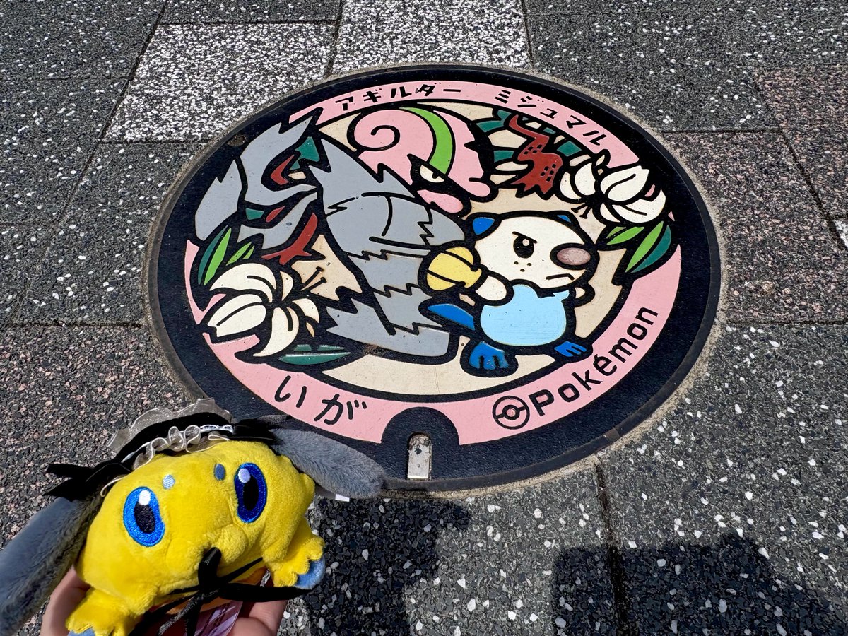 Chudok_sky's tweet photo. 金曜日から三重滋賀奈良和歌山三重順でポケふた巡ってきました🫶🫶 https://t.co/k9RKsgVReo