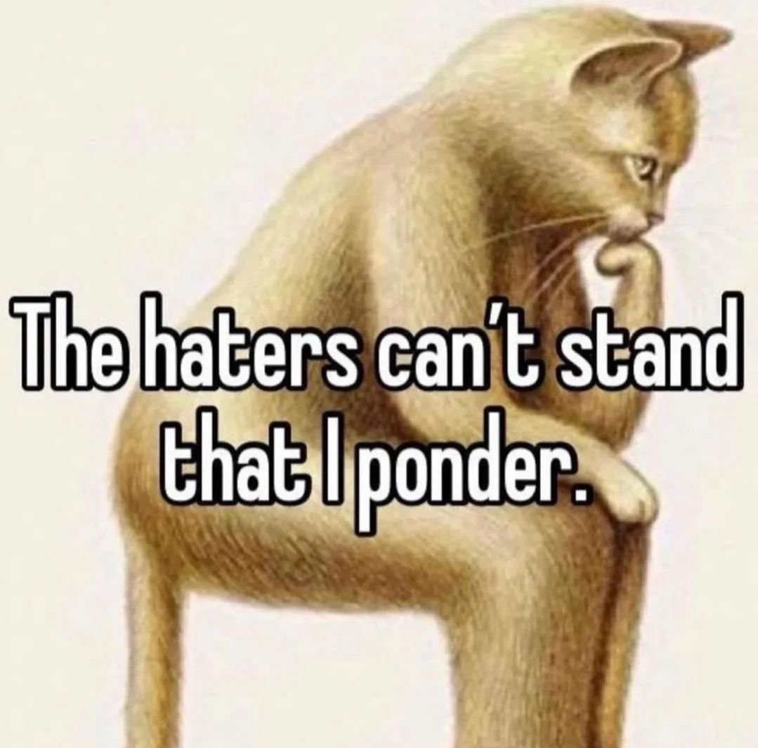 PunchingCat's tweet photo. https://t.co/FEx7V31Rrn