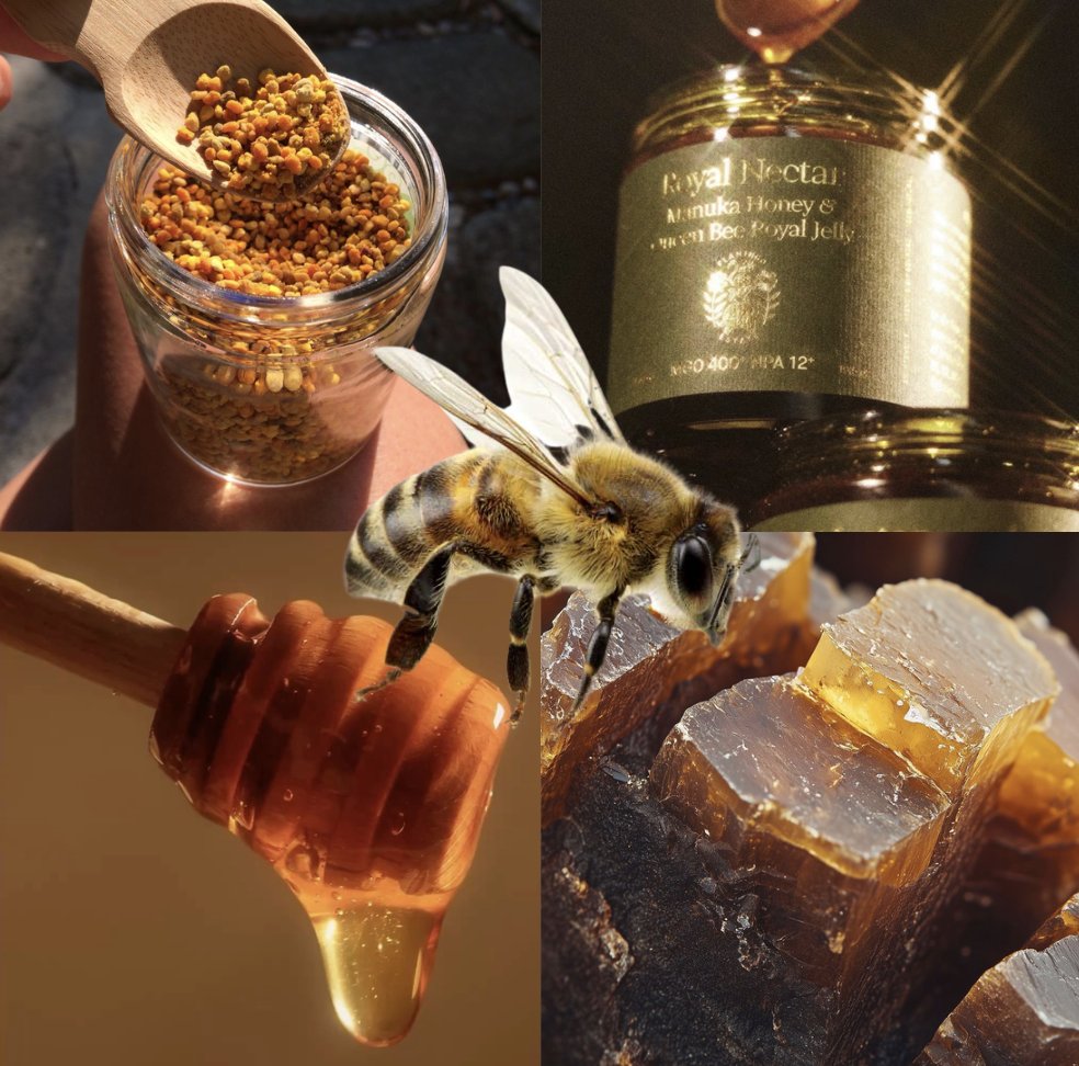 doctormorphh's tweet photo. Lets not act as if bees havent been on an absolute fucking RUN with their creations.

> Honey
> Bee venom (grows ur cawk and hair)
> Propolis
> Bee pollen
> Royal jelly

Then run this nature shi https://t.co/K5ZySUAQxZ