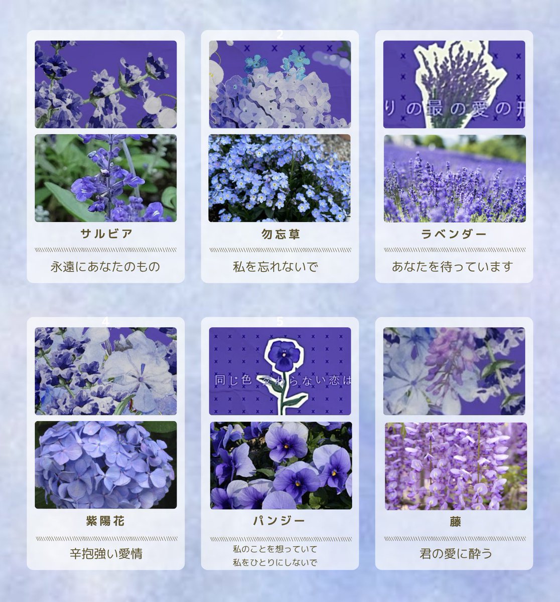 marsh_piii's tweet photo. 凄い表現力に聴いてから数分固まってた
こんなにも悲しくて切ない笑顔を描ける人はあなただけ
寂しさとか諦めとか愛情とか、色んな感情が混ざって見える

花言葉ひとつひとつを辿っていたら
伝えきれない想いがそこに詰まっているような気がして胸がいっぱいになり…🪻
本当にありがとう

#SenasLive https://t.co/ZlyPzCjWJK
