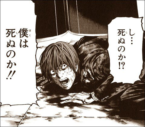 Emperor_1029's tweet photo. タイホウマ娘化でエフフォーリアのウマ娘化の時が急速に迫ってくるのを実感してこれ https://t.co/p6gbIIIC74
