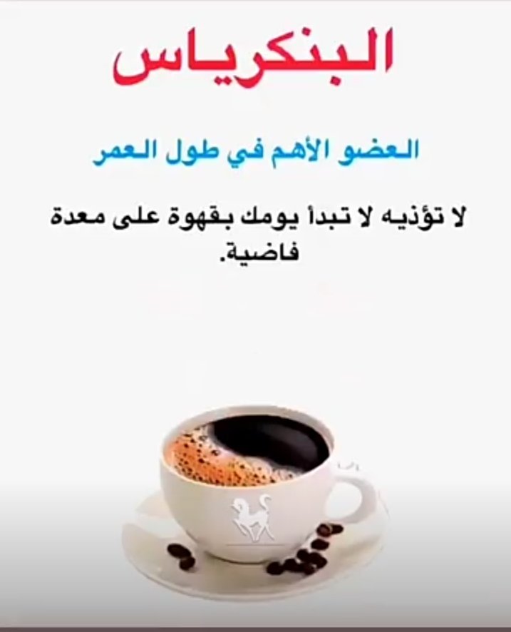 Zazaba891's tweet photo. https://t.co/aEVuJVneRC