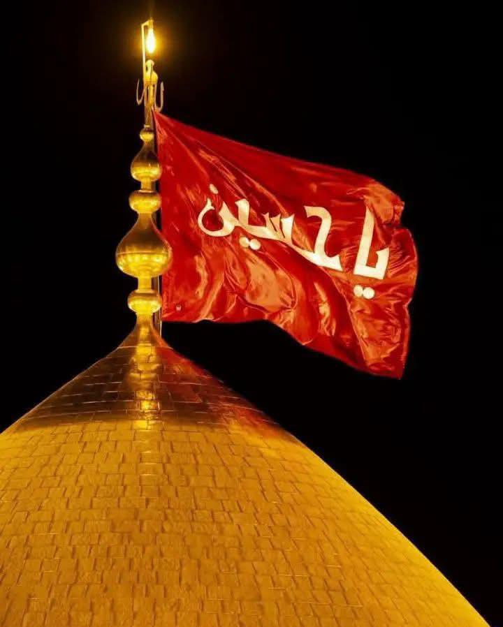R_R_A14's tweet photo. *یزید آج بھی بنتے ہیں لوگ کوشش سے*
*حسین ع خود نہیں بنتا خدا بناتا ہے🙏🏻🚩* https://t.co/AjQEWtXwYb