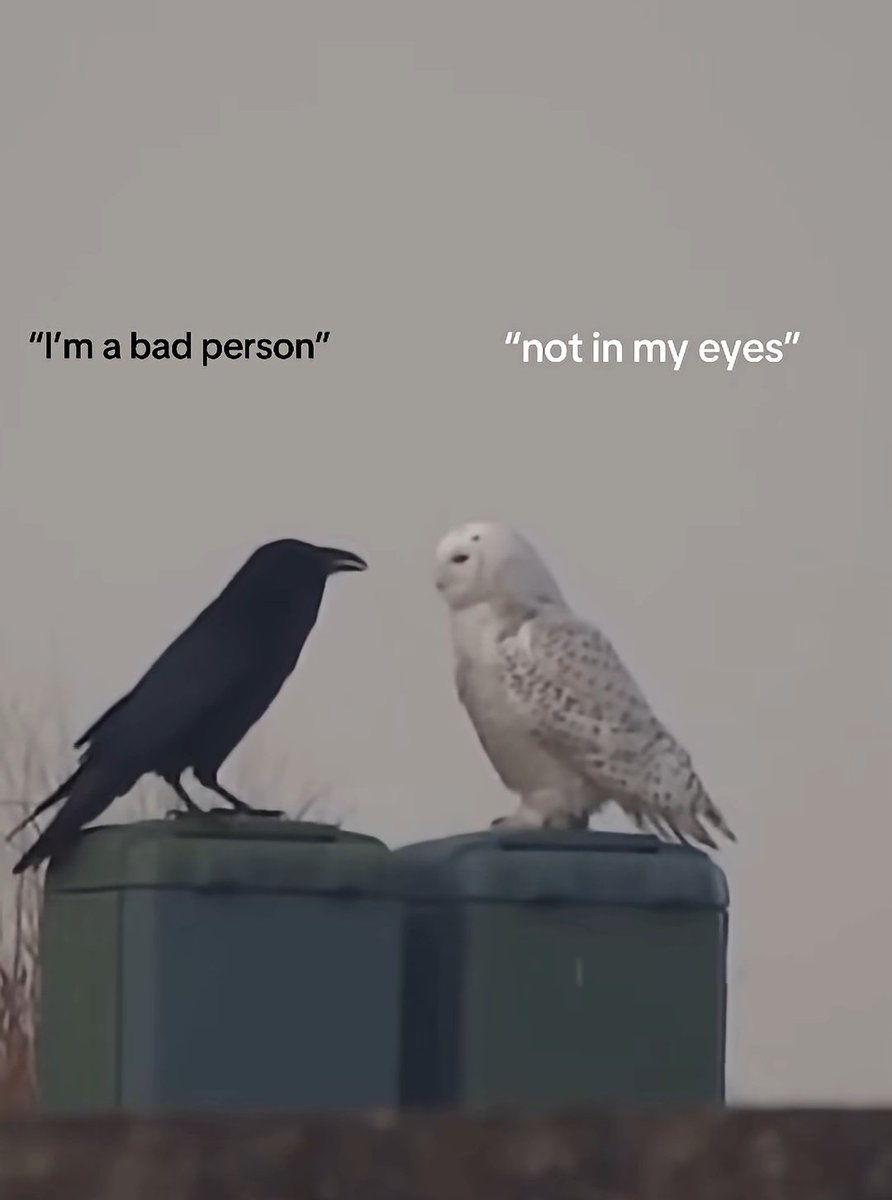 Mini Archillect tweet media