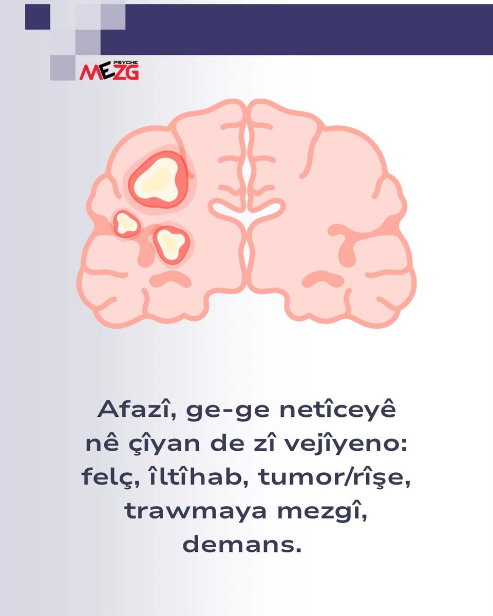 MezgPsyche's tweet photo. https://t.co/ZxiIk8HMl5