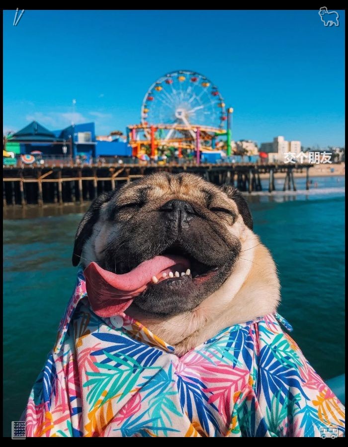 ip0315dhur1's tweet photo. Summer's pure leisure time relaxes the body and mind, away from trivial chores. Indulging in the unique tranquility and warmth of summer heals daily fatigue and anxiety. Be the answer to someone's prayer. https://t.co/xqTP24w5X6