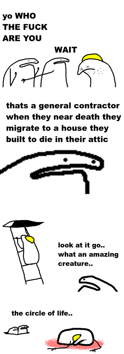 FlorkOfCows's tweet photo. https://t.co/8UE5ds0m6B