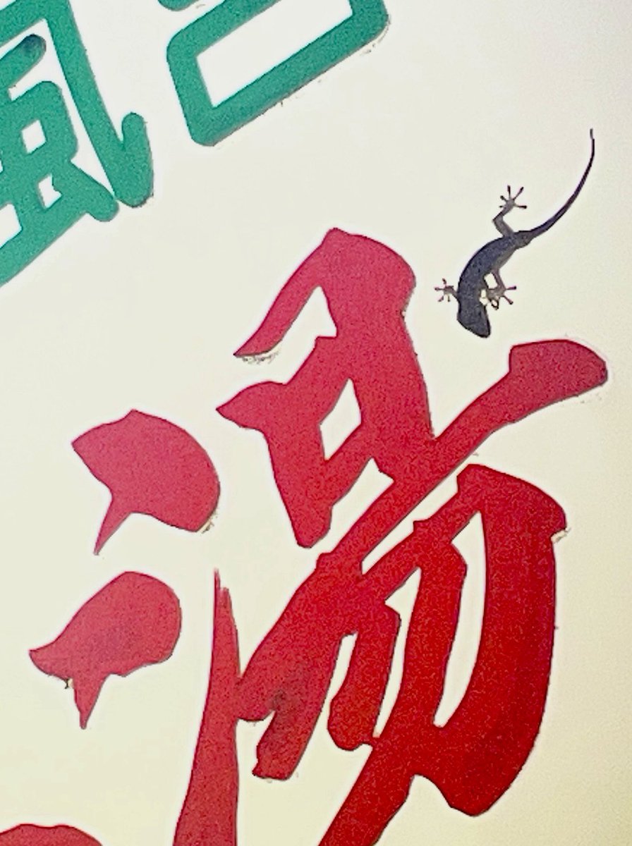Kow9Kf's tweet photo. ただいま🏠♨️

#福美湯 https://t.co/ZUbOkWjvJo