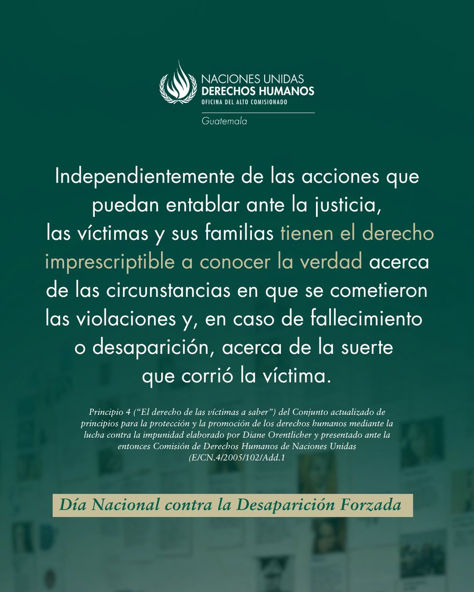 Oacnudh_GT's tweet photo. El lanzamiento del Mecanismo de Búsqueda Humanitaria de Personas Desaparecidas por parte del @GuatemalaGob representa una oportunidad para el cumplimiento del #derecho a la verdad de las víctimas de desapariciones forzadas cometidas durante el conflicto armado interno en 🇬🇹 https://t.co/ZIskV5YwOA