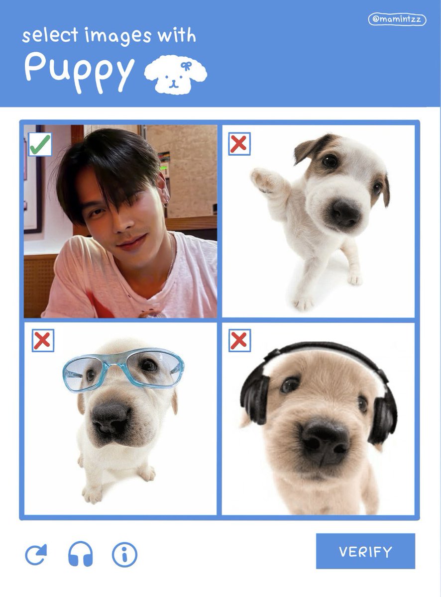 aishiryn's tweet photo. บ๊อกแบ๊ก🐶                          มะแงว🐱 https://t.co/HNas3DymtQ