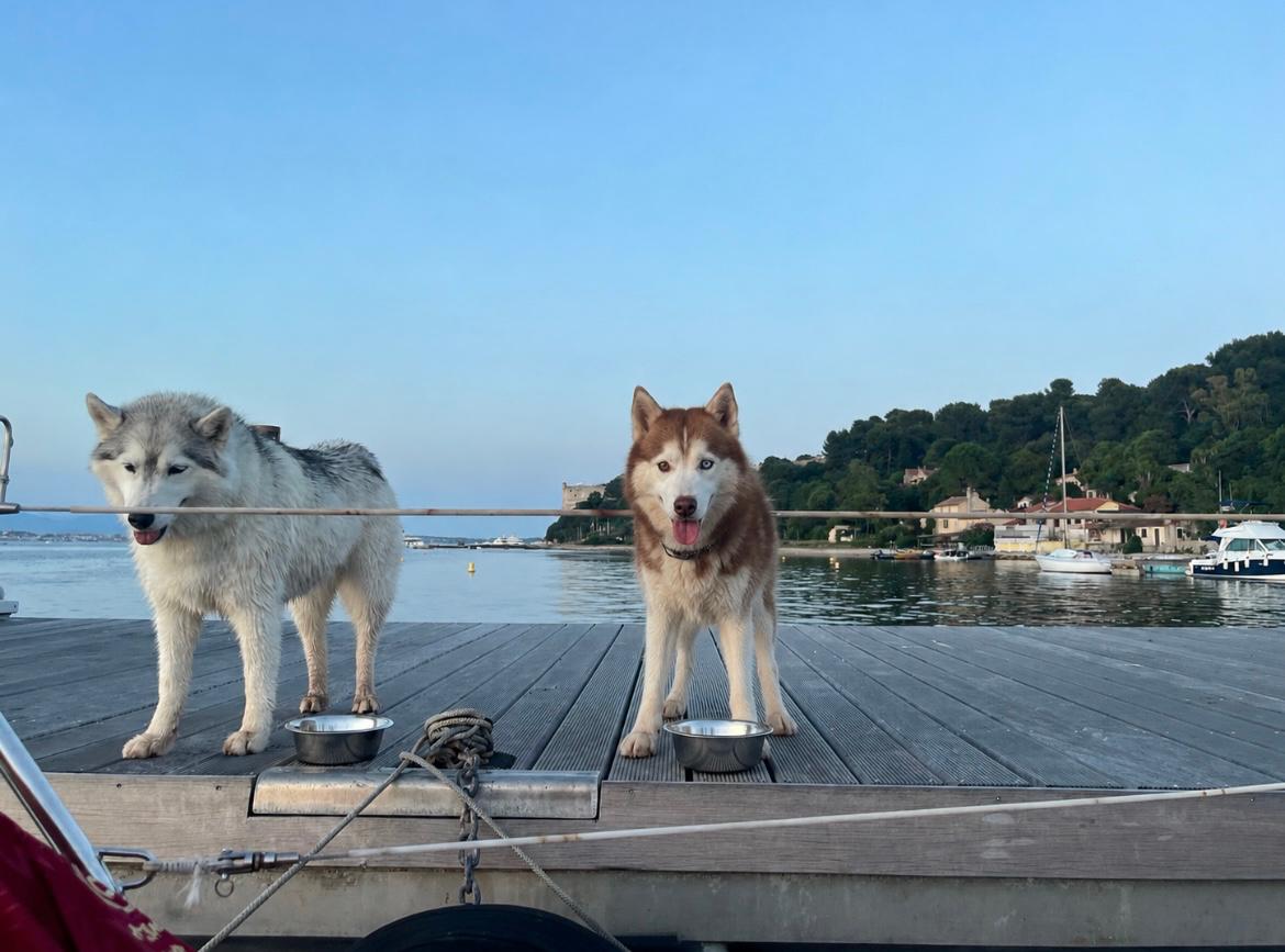 77Billyboy's tweet photo. 🐺 🤩 https://t.co/mysJovKSz7