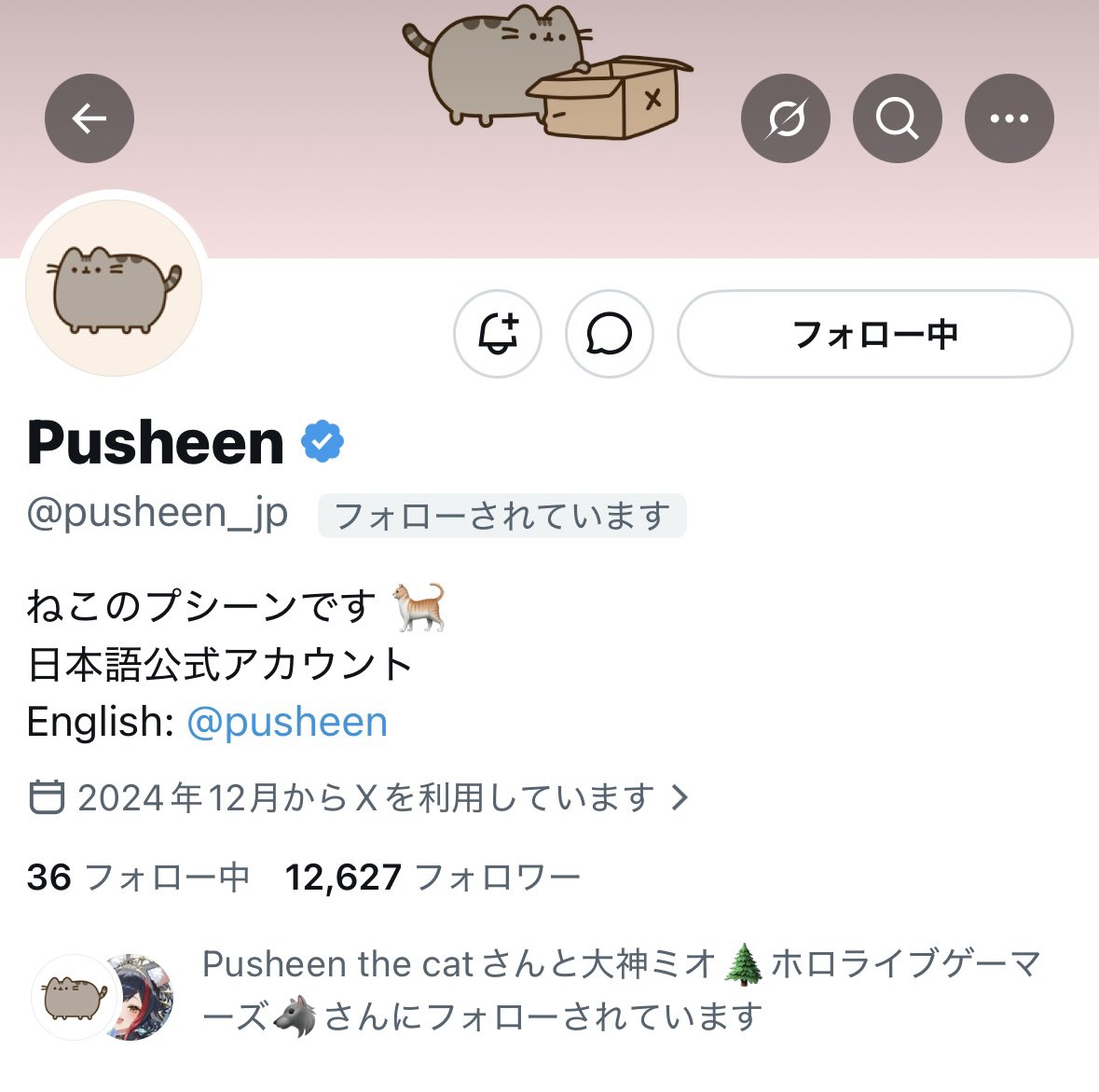 ookamimio_sab's tweet photo. Pusheenに認知されてる！！！！！！！

⊂(　⊂_ω_) OMG… https://t.co/ogPK1ue7nK