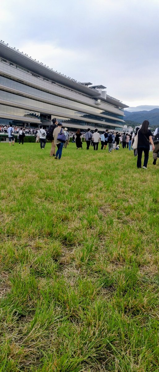 kfmrcrft's tweet photo. 今日は阪神競馬場のターフを歩いて来ました
昨日雨やったからボコボコしてたけど所々蹄の後も見られて迫力感じた〜これくらいで稍重なのね
草いきれの香りも気持ち良かった！夏の匂い
西宮北口の駅ナカフレッズカフェ🐴コラボのチキン勝つバーガーも買えた
9月まで暫しのお別れ〜👋😊 https://t.co/79UaSnJYgT