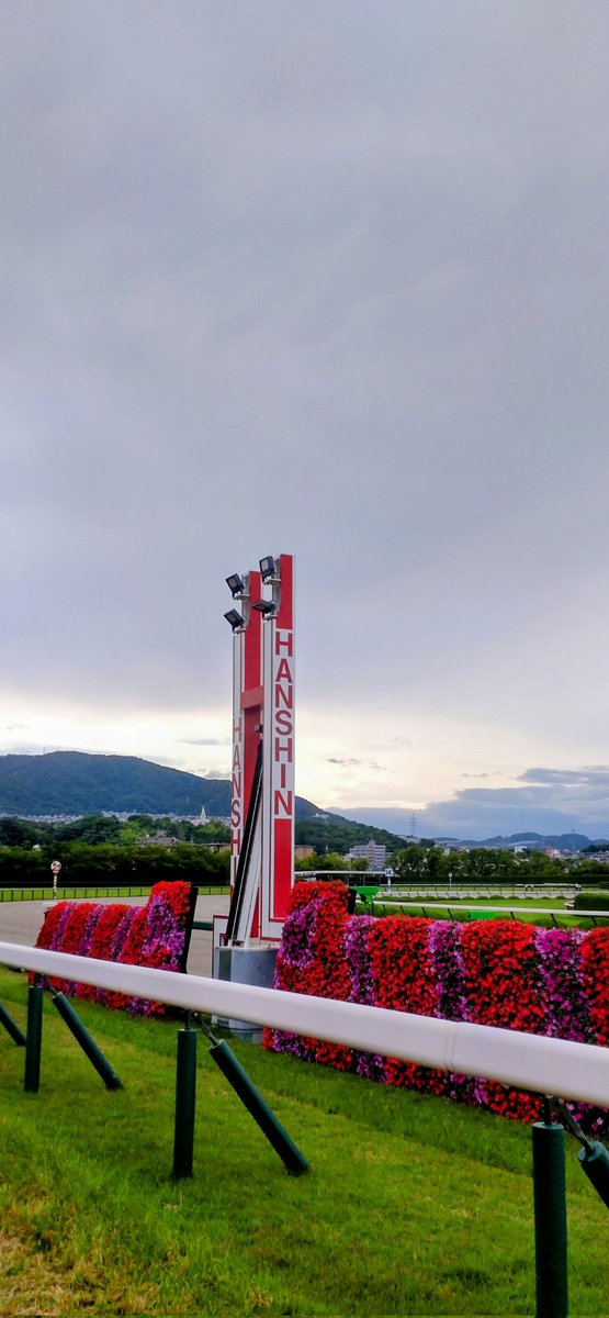 kfmrcrft's tweet photo. 今日は阪神競馬場のターフを歩いて来ました
昨日雨やったからボコボコしてたけど所々蹄の後も見られて迫力感じた〜これくらいで稍重なのね
草いきれの香りも気持ち良かった！夏の匂い
西宮北口の駅ナカフレッズカフェ🐴コラボのチキン勝つバーガーも買えた
9月まで暫しのお別れ〜👋😊 https://t.co/79UaSnJYgT