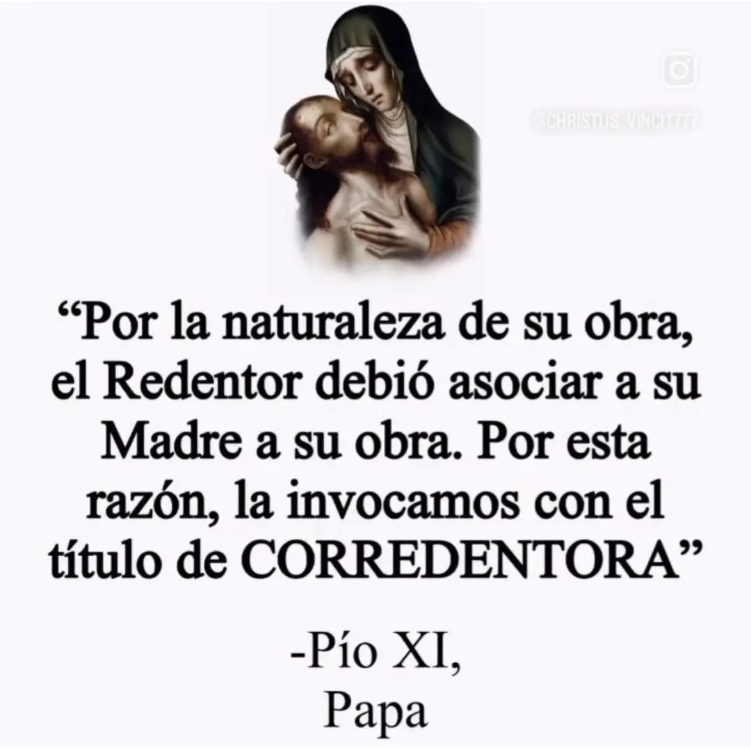 verd5813's tweet photo. @Rebarret @elhigadodmarita https://t.co/4fAS20Kn1v