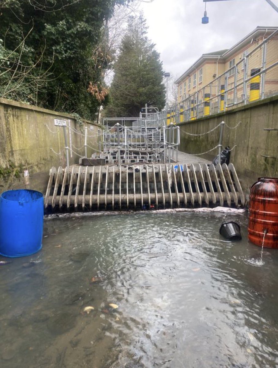paulpowlesland's tweet photo. Last year there was a huge oil spill on the Roding. I first discovered the slick drifting past my boat & spent a day tracing it upstream to a tributary, where it was pooling behind an EA sluice. I rang it in to the EA hotline as a serious & urgent incident, but a day later they had done nothing (I later found out they had gone to the site, couldn’t see the massive slick of oil & didn’t bother to call me). 

With a massive rain storm threatening to wash the oil into the Roding, I decided to act. I fashioned a home made oil boom, got my wellies on & used a bucket to fill two 80 litre barrels with the thick engine oil. 

When the EA teams attended a day later, they told me off for entering the river & removing the oil & they took away the boom I made (as it was a “flood risk” apparently), causing the remaining oil to wash into the river. They never found the source of the oil, brought any prosecution or put anything in place to stop it happening again. In all they made things worse through their actions.