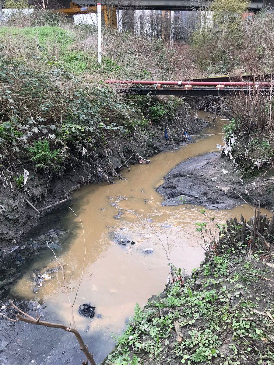 paulpowlesland's tweet photo. Illegal sewage outfalls are a major issue on the River Roding, as they are around much of the country. The EA has not brought any prosecutions for illegal sewage discharges on the Roding this century. 

In 2022, I discovered an illegal sewage outfall on the Aldersbrook discharging raw shit into the river. I reported it to the EA, who did absolutely nothing. I then had to campaign in my spare time for 3 years to get the outfall fixed, attending meetings with the council & Thames Water & dealing with journalists. Eventually, the campaign worked & Thames Water spent £1 million fixing the outfall. 

Subsequently, I realised that the EA had no idea where all the illegal sewage outfalls on the river were, or which were most harmful. I therefore went out on the river myself with a bucket, in a pair of waders to find & analyse all the illegal outfalls on the river. I found dozens of them, spilling over a billion litres of raw sewage illegally into the river every year. I have given the exact locations of all the illegal outfalls to the EA & they’ve done sweet FA. Raw sewage continues to pour into the river illegally & unchecked every minute of every day of the year, & parts of the river are now ecologically dead, as well as having e-coli levels more than 250 times the safe limit.