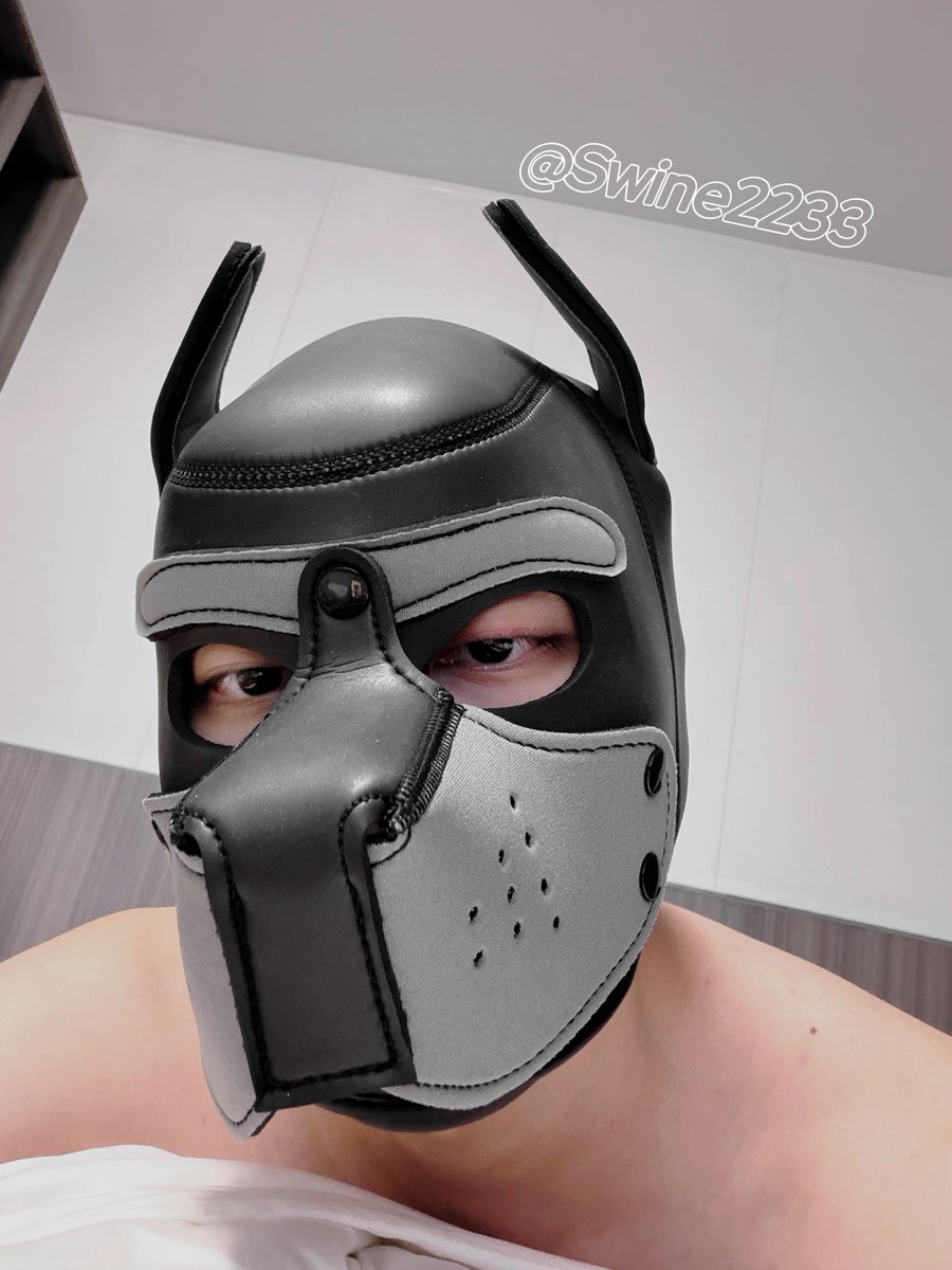 Swine2233's tweet photo. 喵～ https://t.co/L9HK6cMklj