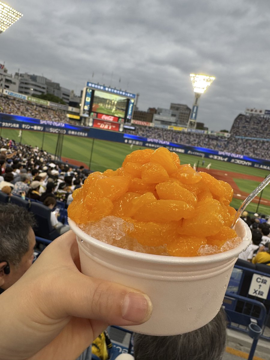 1436ki's tweet photo. 初ハマスタ！！勝ち試合見れた！！ https://t.co/3dlQHzAarj