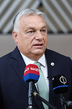 Peter Borbe tweet media