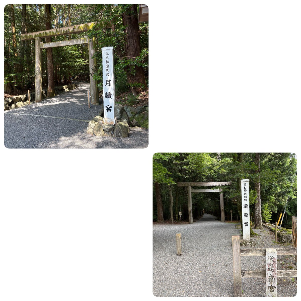 IMAYOKU1's tweet photo. 6月21日

今日の参拝コース

二見興玉神社
　　⬇️
伊勢神宮　外宮　(お垣内参拝)
　　⬇️
伊勢神宮　内宮別宮　月読宮
　　⬇️
伊勢神宮　内宮　(お垣内参拝)
　　⬇️
伊勢神宮　内宮別宮　瀧原宮
　　⬇️
椿　大神社 https://t.co/9UukI7q3FK