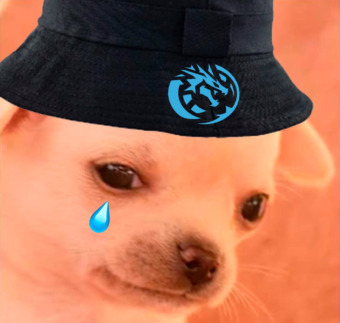LEVIATAN tweet media