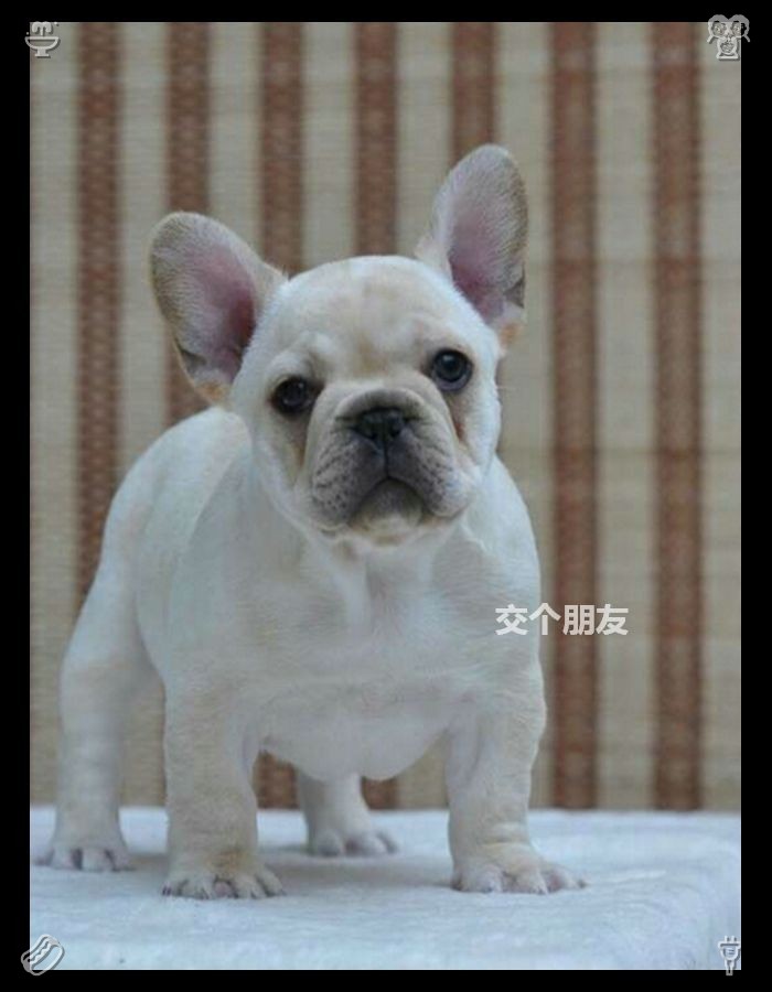 Shell_D_J's tweet photo. 于是，循环往复——灯塔接纳了迷失、破碎与充满希望的人们。它治愈心灵，给予爱与归宿。故事被不断传颂，爱被世代传承，这份遗产永存。让每一滴泪水都化作微笑。 https://t.co/I3GgV7RXSq