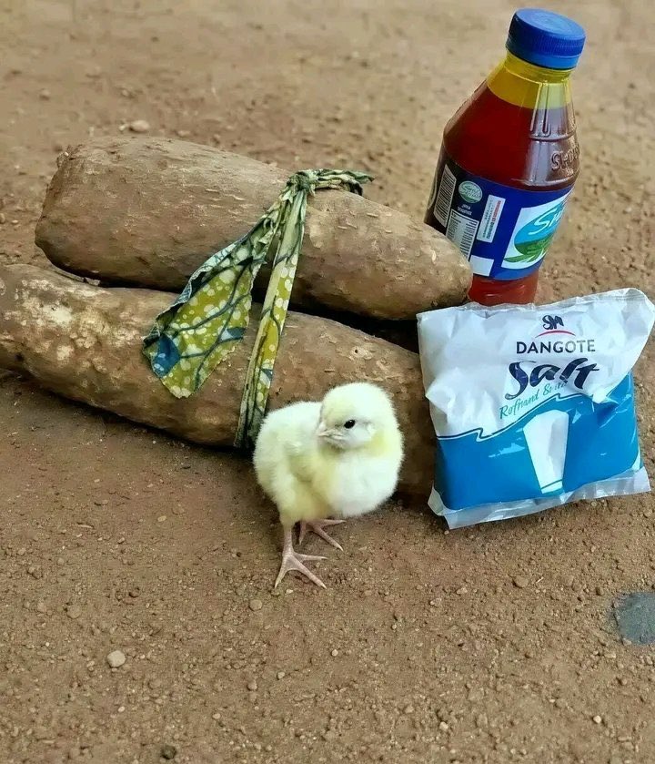 Debiggestpod's tweet photo. Me wey use this format, I no get Sense? Tell your boss to learn from me https://t.co/6lZ349XPlY