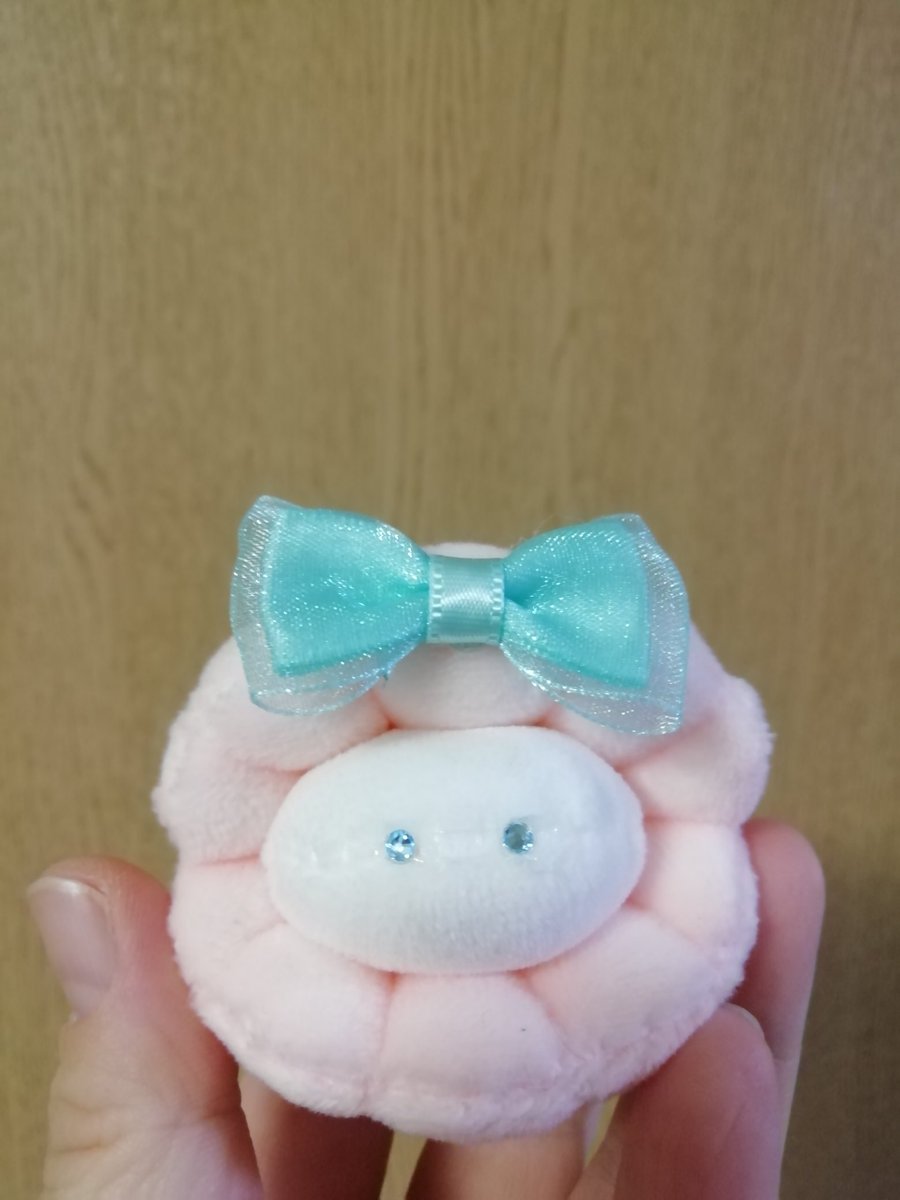 ショコハジロ (@chocohajiro) / Posts / X