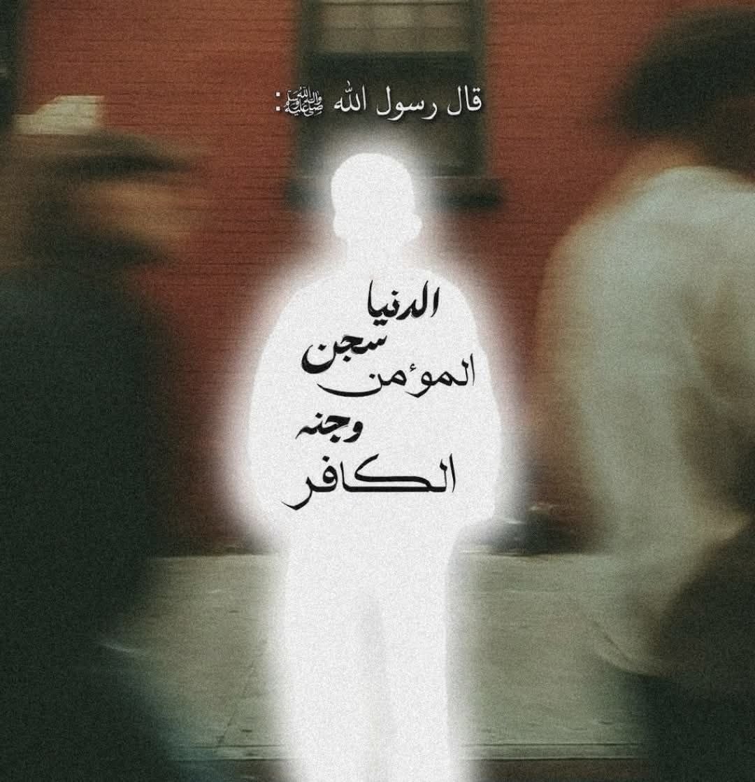 ‎Houda tweet media