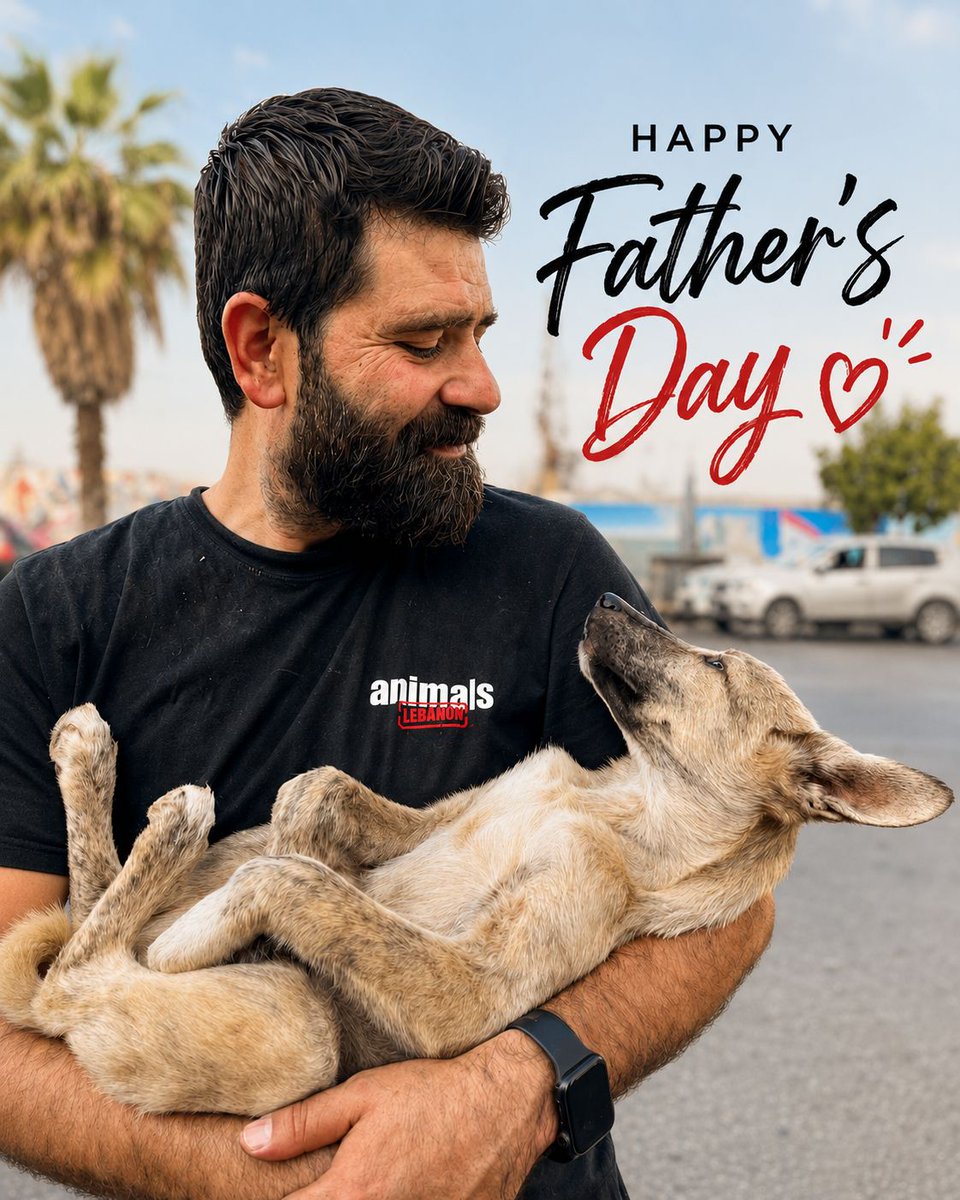 AnimalsLebanon's tweet photo. This Father’s Day, we celebrate the protectors, the nurturers, and the ones who give unconditional love ❤️

The ones who make others feel safe.

Charm’s story is a beautiful reminder of that.  
Once abandoned and thrown into a trash shaft, https://t.co/qxTPuuKxzH