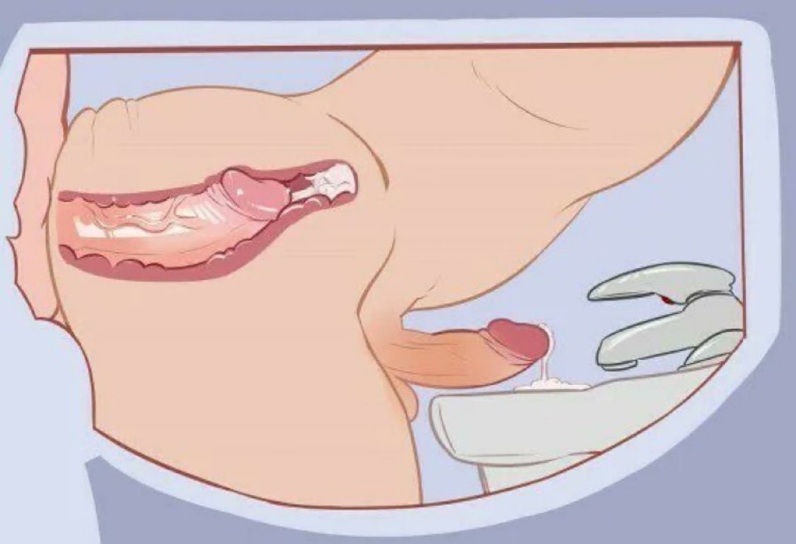 GoddessSel1's tweet photo. F4gs cum from anal, alphas cum inside f4g's pussy. https://t.co/PYpL4KqGJ1